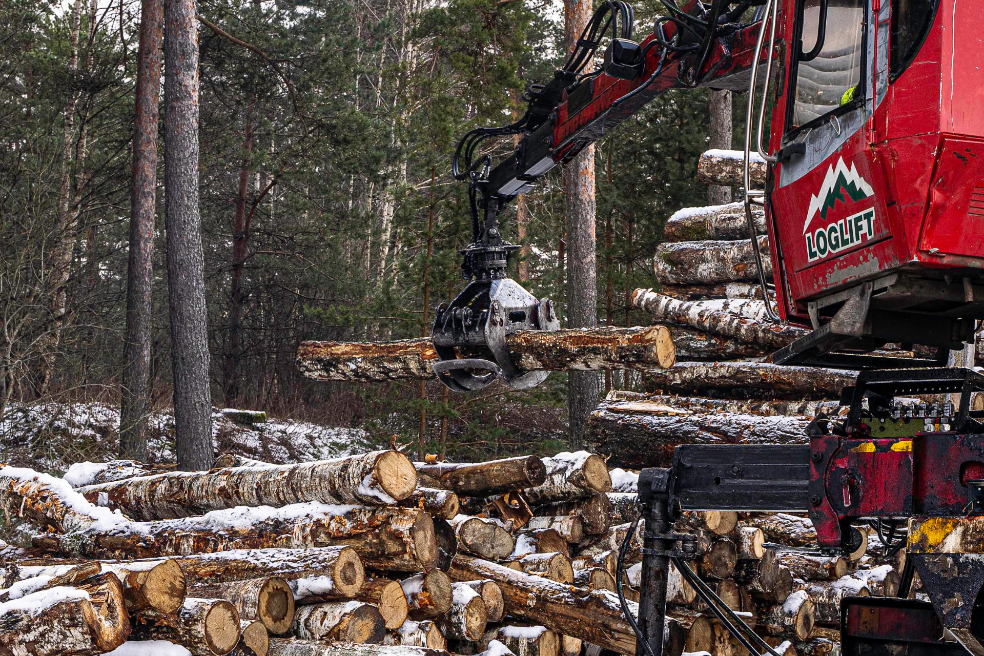 Timber crane unloading round logs at the Tervete Wood yard